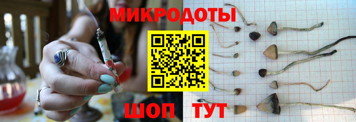 Псилоцибиновые грибы ЛСД  Вход с VPN  Дальнегорск 